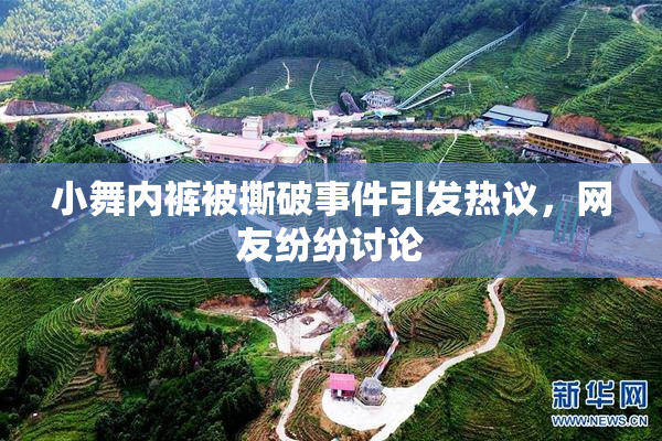小舞内裤被撕破事件引发热议，网友纷纷讨论