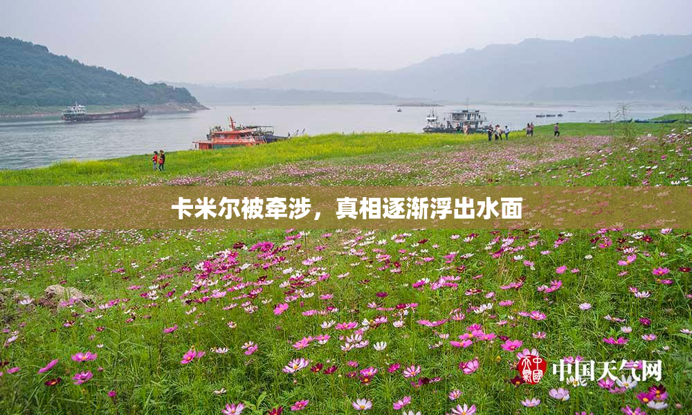 卡米尔被牵涉，真相逐渐浮出水面
