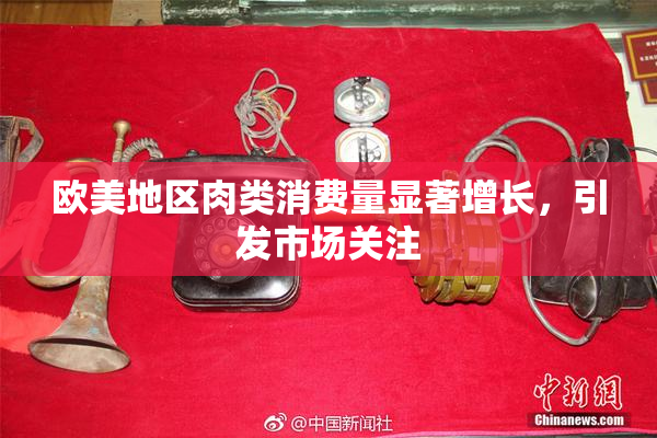 欧美地区肉类消费量显著增长，引发市场关注