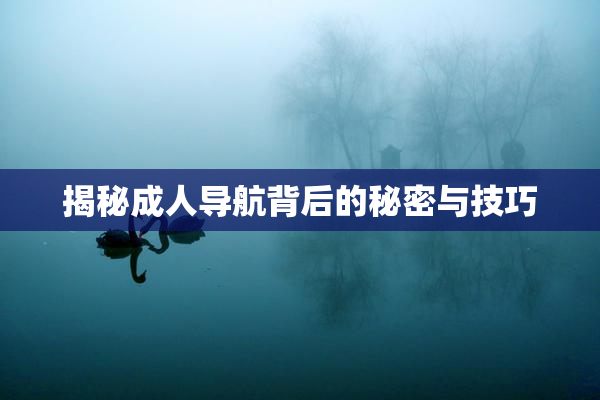 揭秘成人导航背后的秘密与技巧