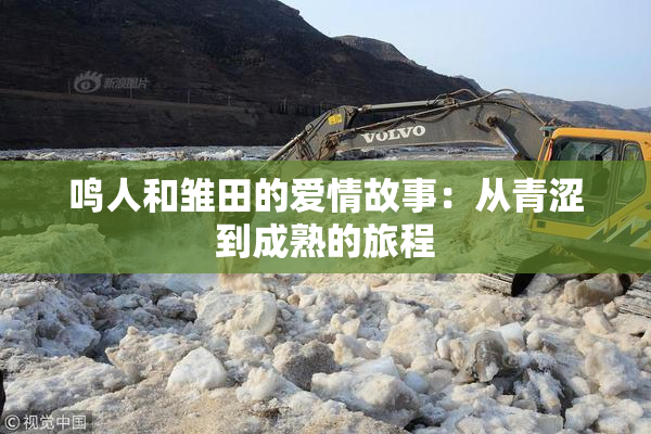 鸣人和雏田的爱情故事：从青涩到成熟的旅程