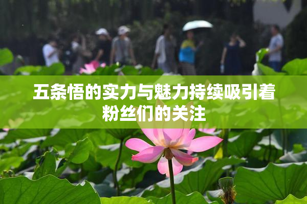 五条悟的实力与魅力持续吸引着粉丝们的关注
