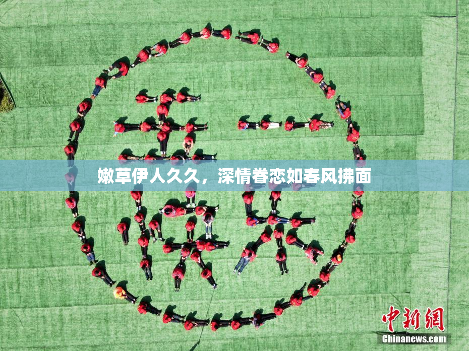 嫩草伊人久久，深情眷恋如春风拂面