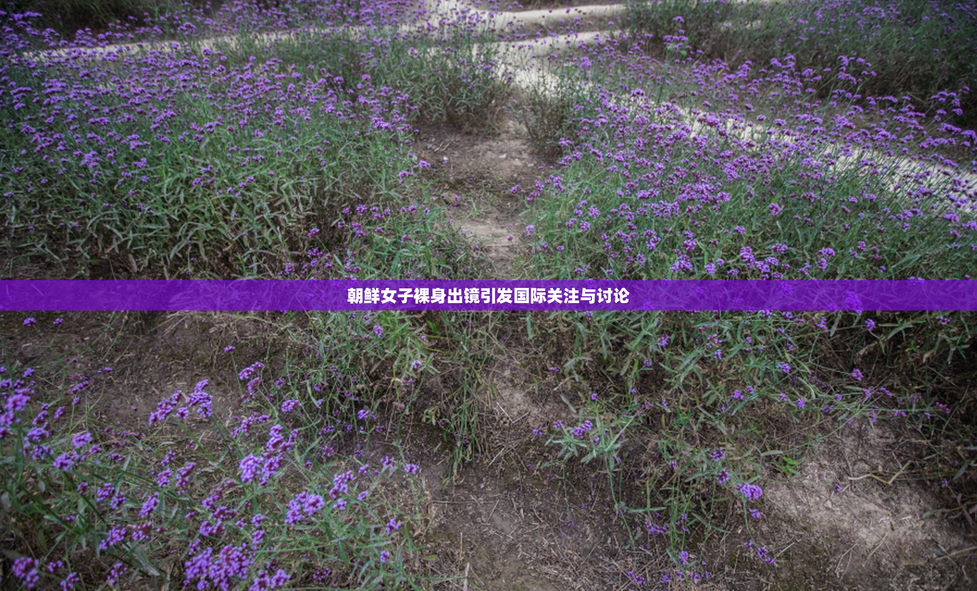 朝鲜女子裸身出镜引发国际关注与讨论