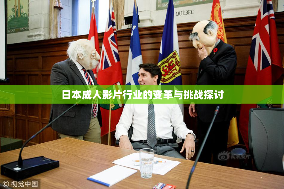 日本成人影片行业的变革与挑战探讨