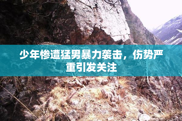 少年惨遭猛男暴力袭击，伤势严重引发关注