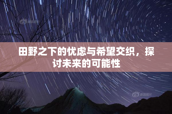 田野之下的忧虑与希望交织，探讨未来的可能性