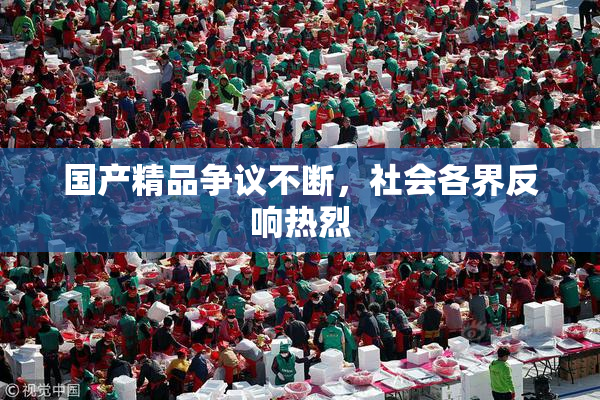 国产精品争议不断，社会各界反响热烈
