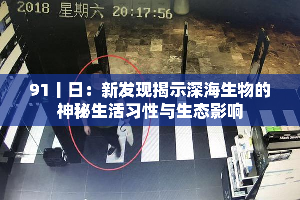 91丨日：新发现揭示深海生物的神秘生活习性与生态影响