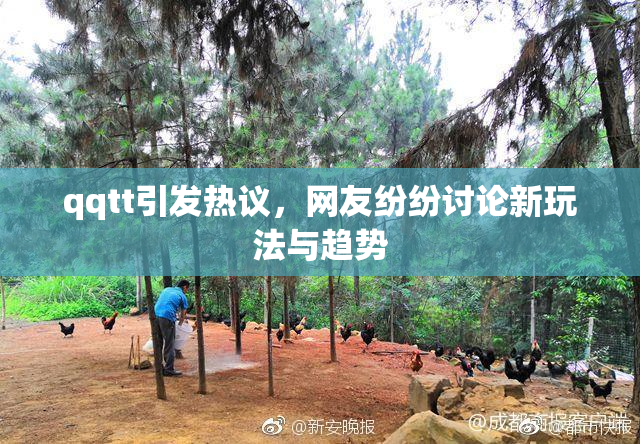 qqtt引发热议，网友纷纷讨论新玩法与趋势