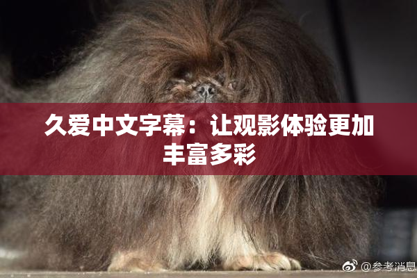 久爱中文字幕：让观影体验更加丰富多彩