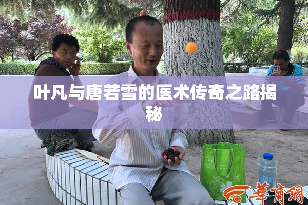 叶凡与唐若雪的医术传奇之路揭秘