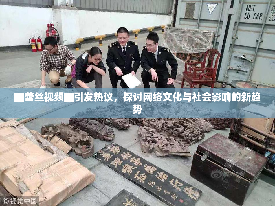 ▇蕾丝视频▇引发热议，探讨网络文化与社会影响的新趋势