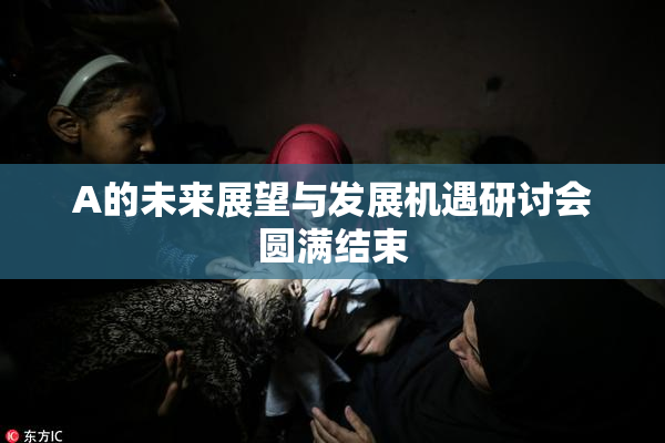 A的未来展望与发展机遇研讨会圆满结束