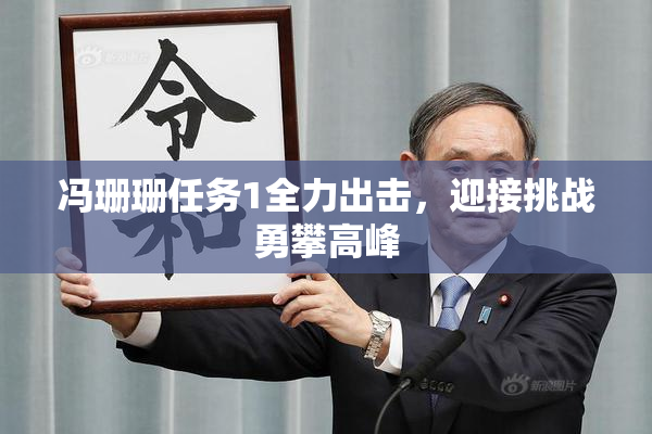 冯珊珊任务1全力出击，迎接挑战勇攀高峰