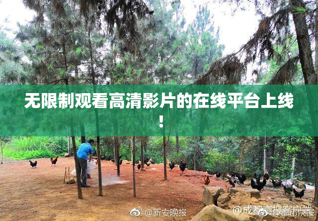 无限制观看高清影片的在线平台上线！