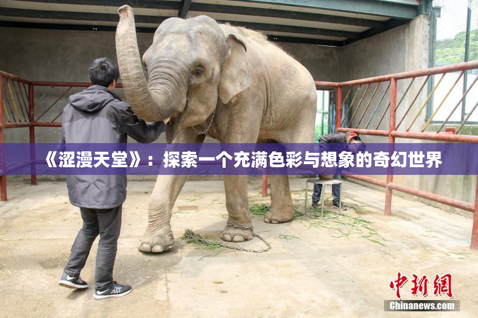 《涩漫天堂》：探索一个充满色彩与想象的奇幻世界