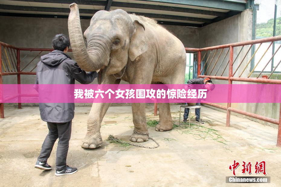 我被六个女孩围攻的惊险经历
