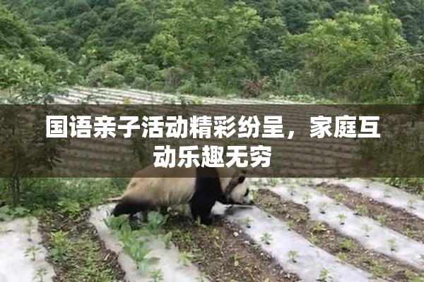 国语亲子活动精彩纷呈，家庭互动乐趣无穷