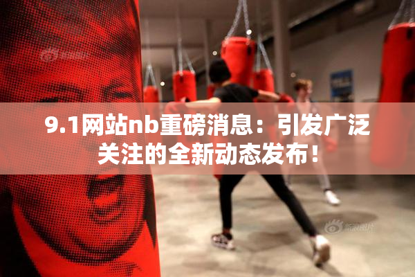 9.1网站nb重磅消息：引发广泛关注的全新动态发布！
