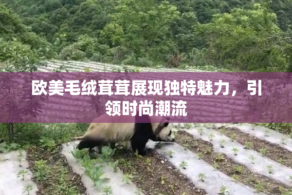 欧美毛绒茸茸展现独特魅力，引领时尚潮流