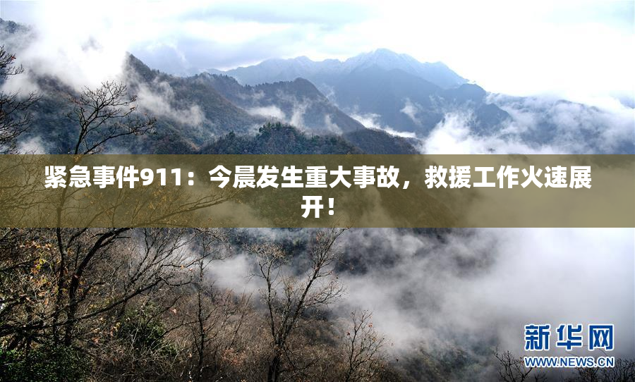 紧急事件911：今晨发生重大事故，救援工作火速展开！