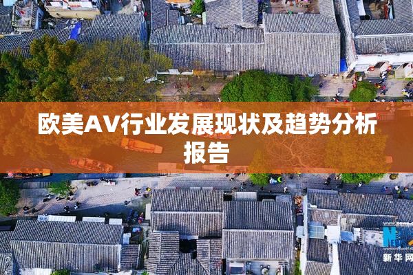 欧美AV行业发展现状及趋势分析报告