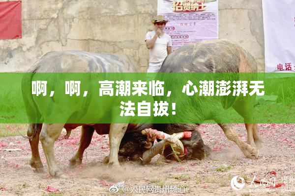 啊，啊，高潮来临，心潮澎湃无法自拔！