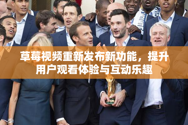 草莓视频重新发布新功能，提升用户观看体验与互动乐趣