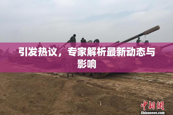 引发热议，专家解析最新动态与影响
