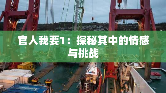 官人我要1：探秘其中的情感与挑战