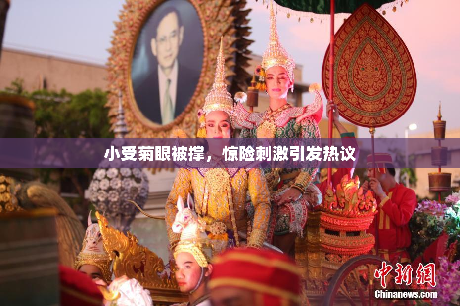 小受菊眼被撑，惊险刺激引发热议