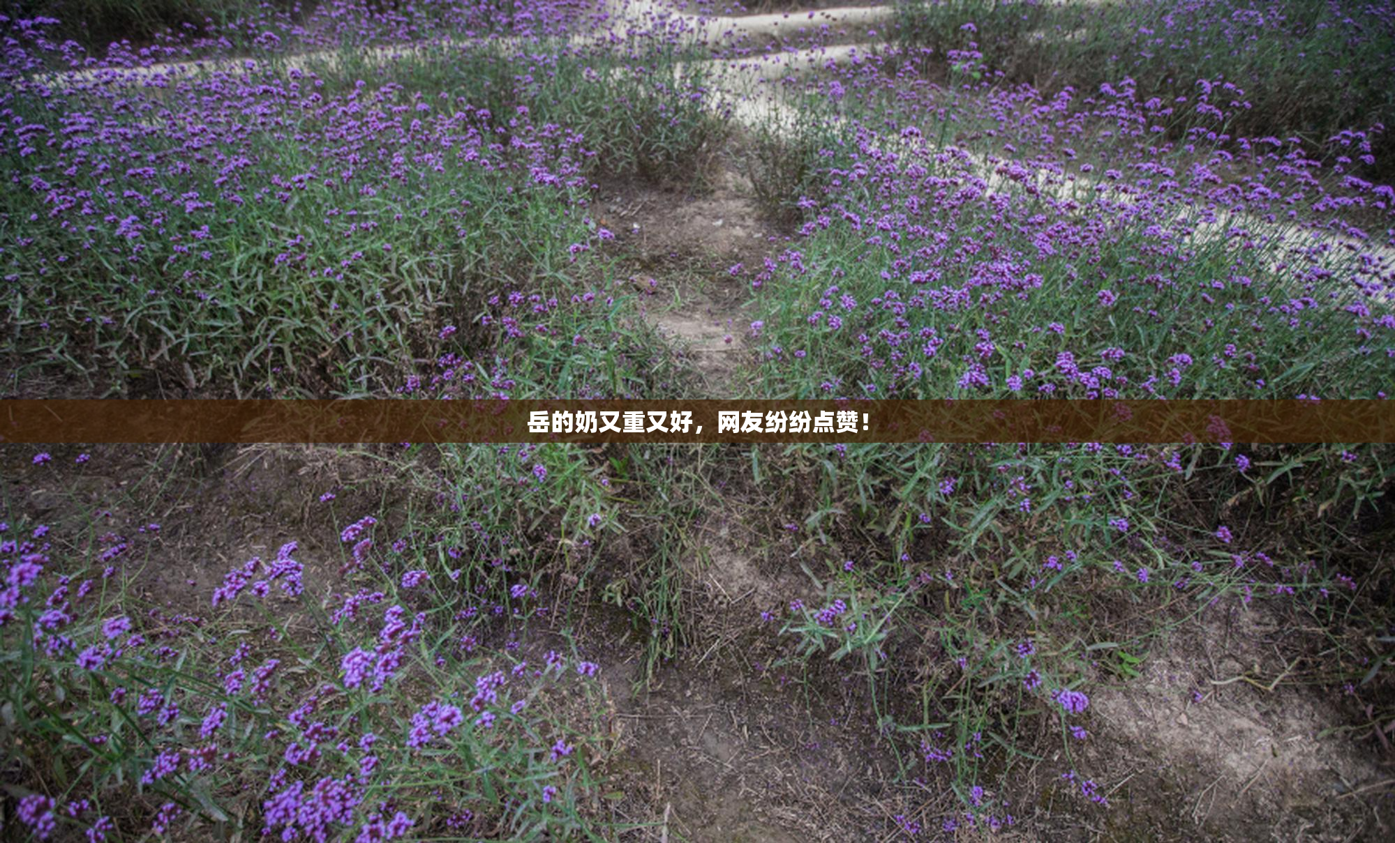 岳的奶又重又好，网友纷纷点赞！