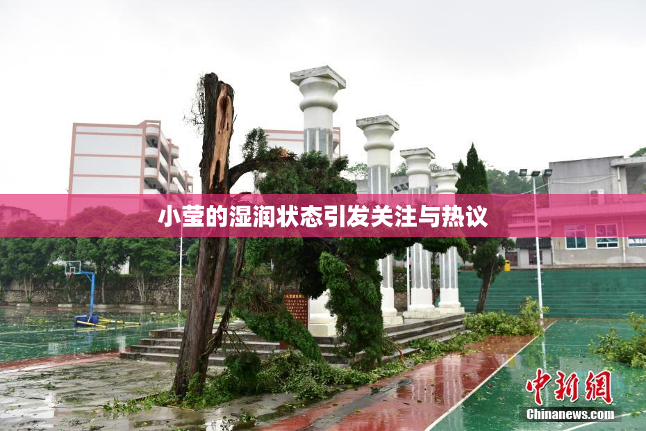 小莹的湿润状态引发关注与热议
