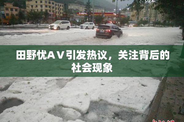 田野忧AⅤ引发热议，关注背后的社会现象