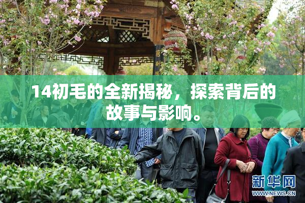 14初毛的全新揭秘，探索背后的故事与影响。