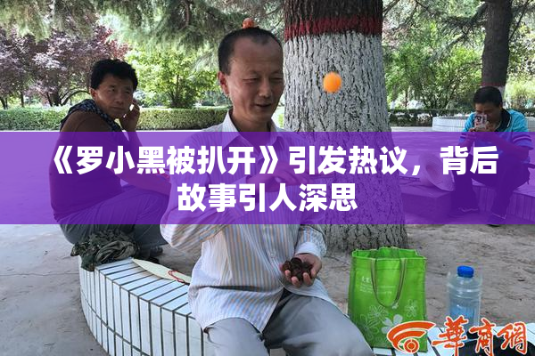 《罗小黑被扒开》引发热议，背后故事引人深思