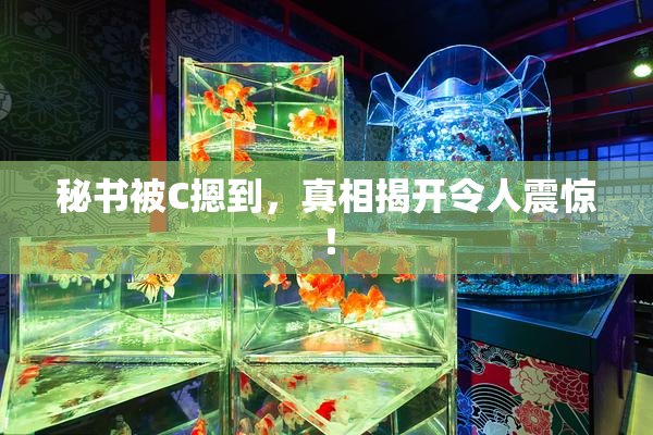 秘书被C摁到，真相揭开令人震惊！