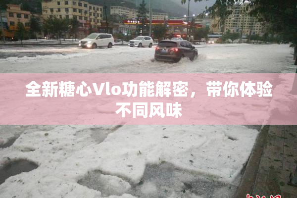 全新糖心Vlo功能解密，带你体验不同风味