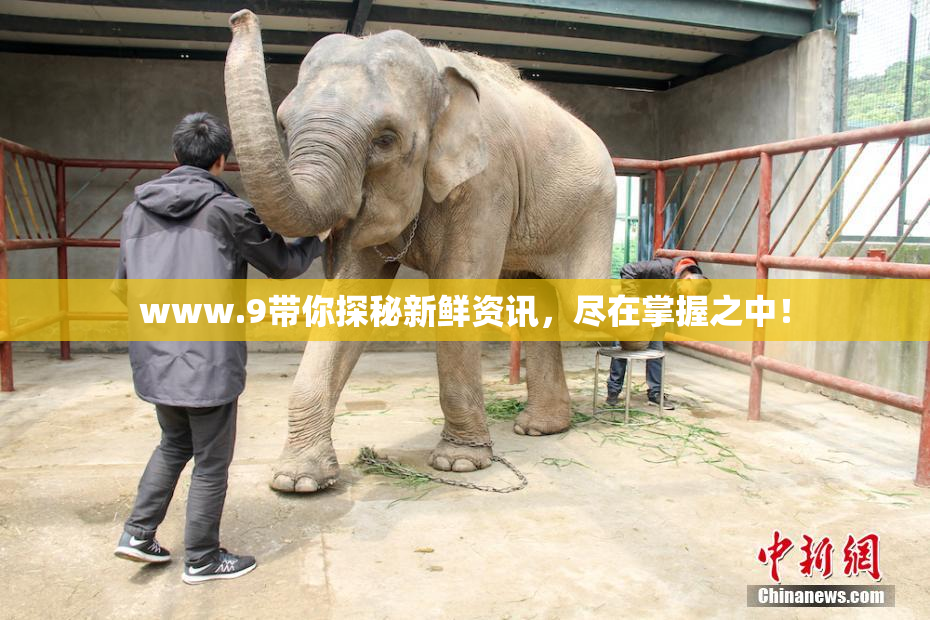www.9带你探秘新鲜资讯，尽在掌握之中！