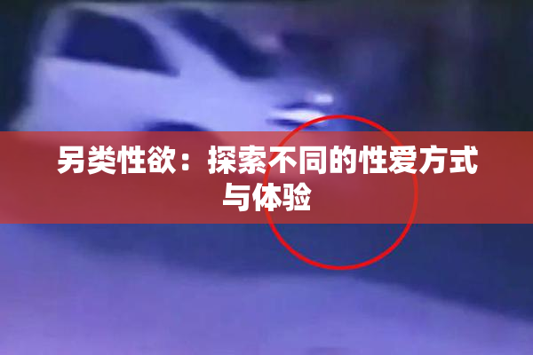另类性欲：探索不同的性爱方式与体验