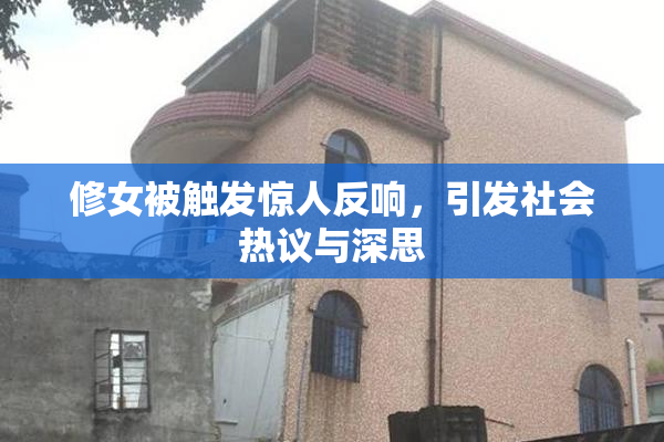 修女被触发惊人反响，引发社会热议与深思