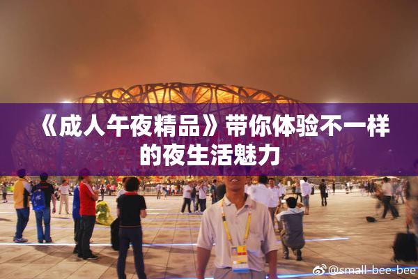 《成人午夜精品》带你体验不一样的夜生活魅力
