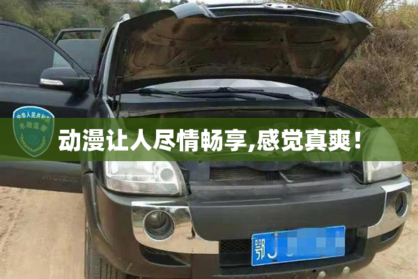 动漫让人尽情畅享,感觉真爽！