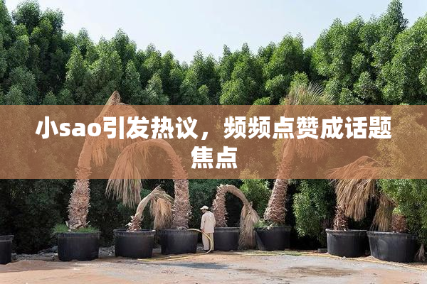 小sao引发热议，频频点赞成话题焦点