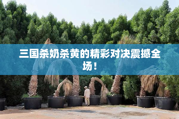 三国杀奶杀黄的精彩对决震撼全场！