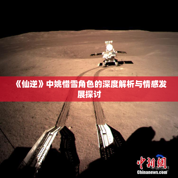 《仙逆》中姚惜雪角色的深度解析与情感发展探讨