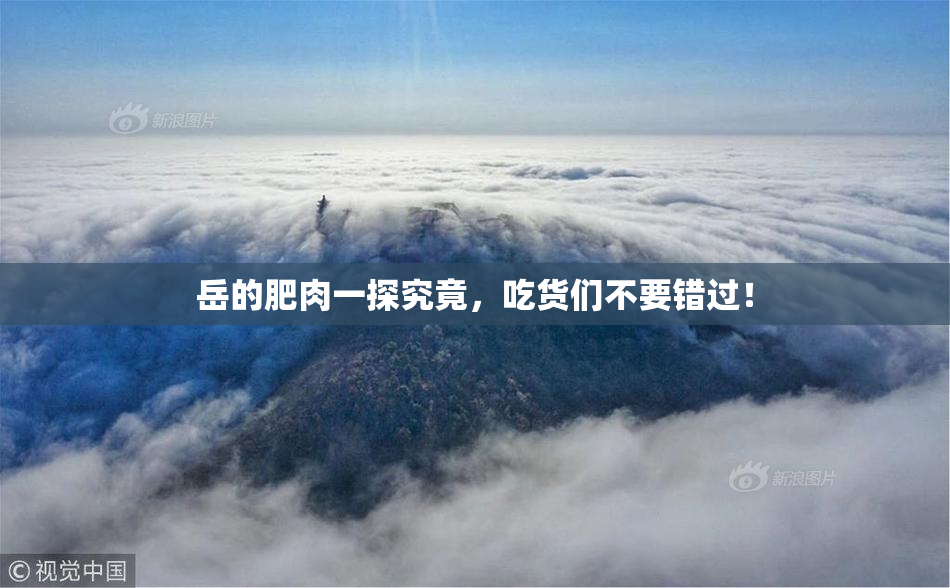 岳的肥肉一探究竟，吃货们不要错过！