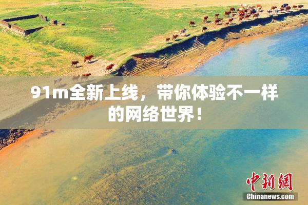 91m全新上线，带你体验不一样的网络世界！