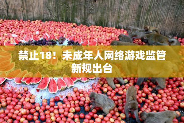 禁止18！未成年人网络游戏监管新规出台